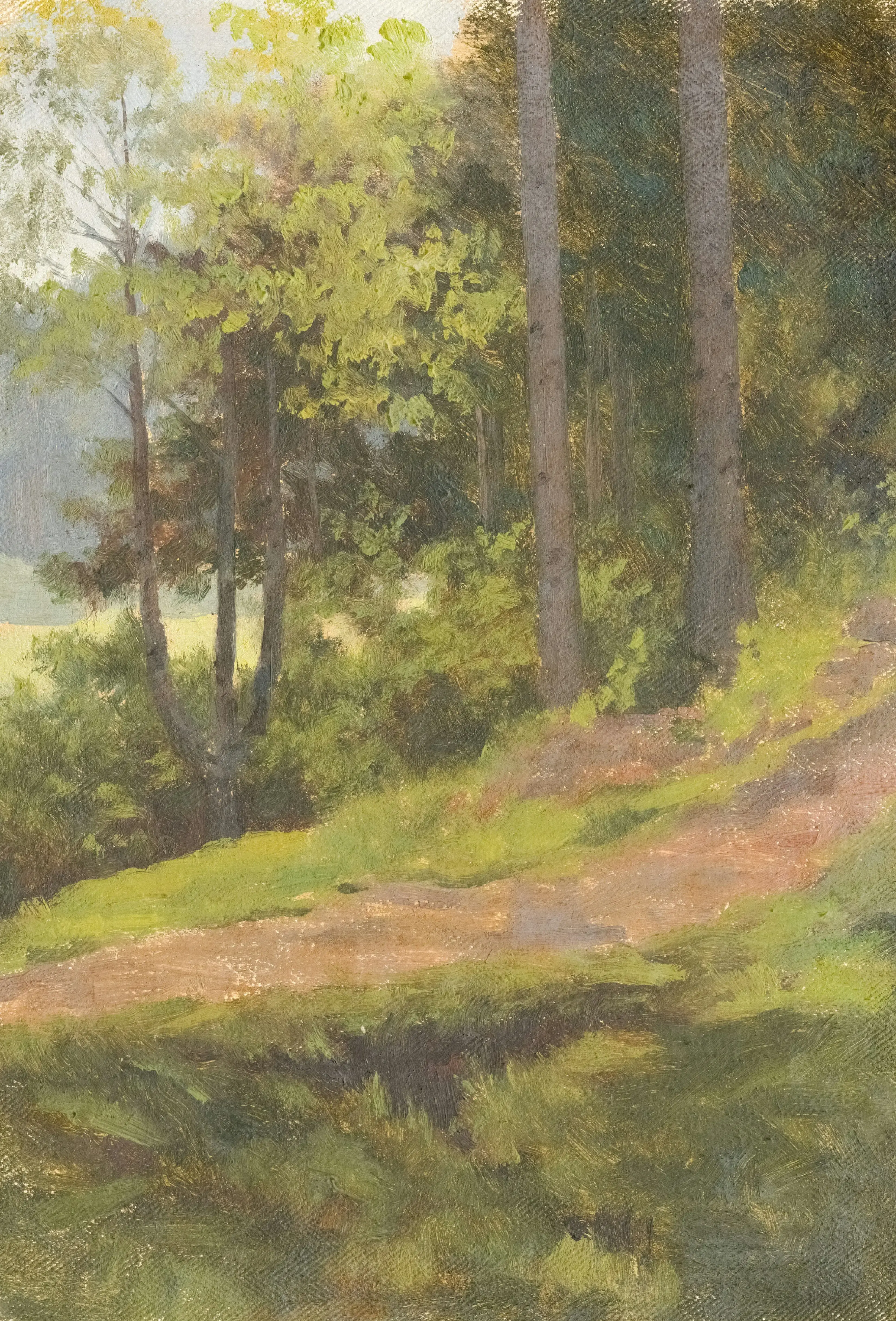 Light Meets the Path
